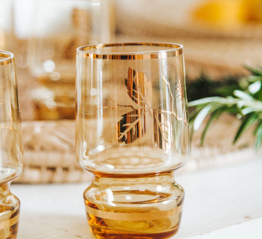 Vintage Liqueur Glasses - Set of 5