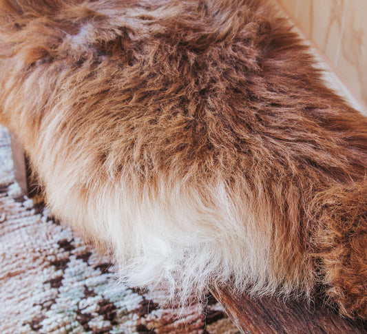 NZ long wool sheepskin karakul ginger 