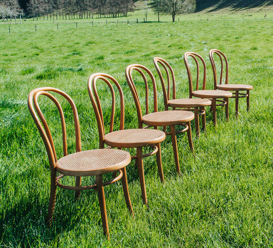 vintage wooden bentwood cane chair