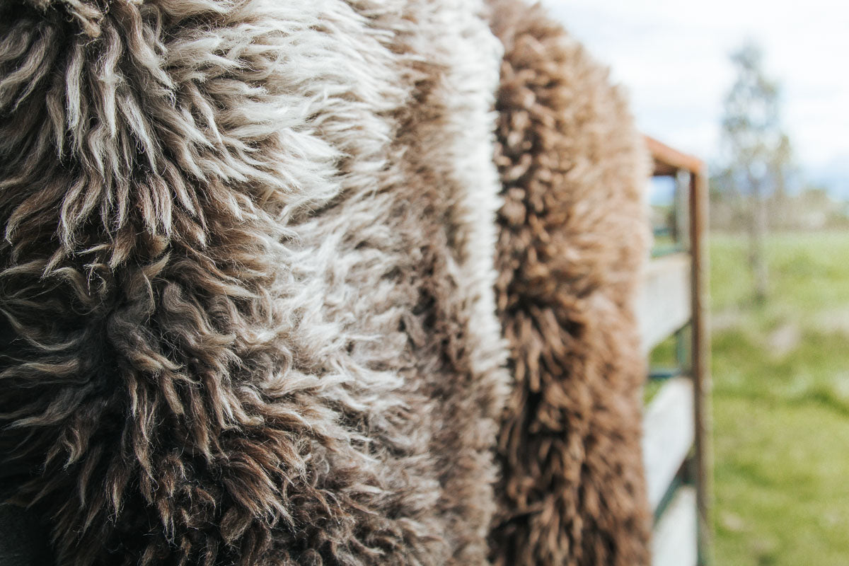 nz rustic natural longwool sheepskins fibre by auskin wilson dorset