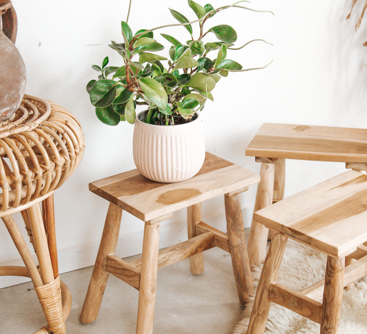 boho scandi suar wood solid wood wooden kiddies stool sidetable plantstand